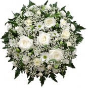 White rose posy